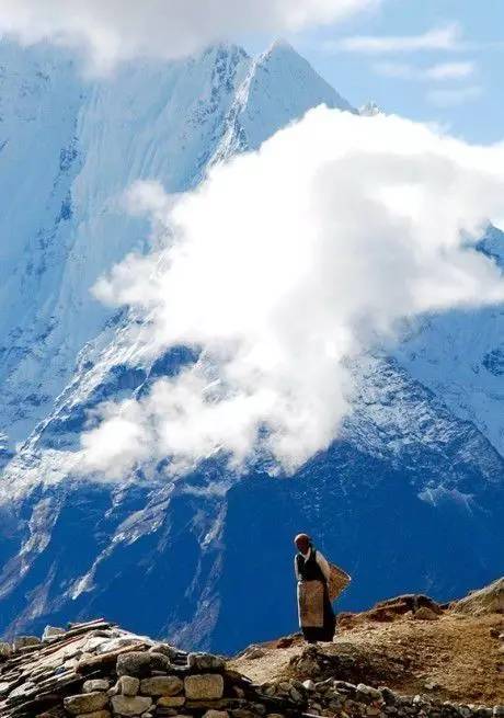 高原盛事，致敬西藏尊贵领导与深情同胞