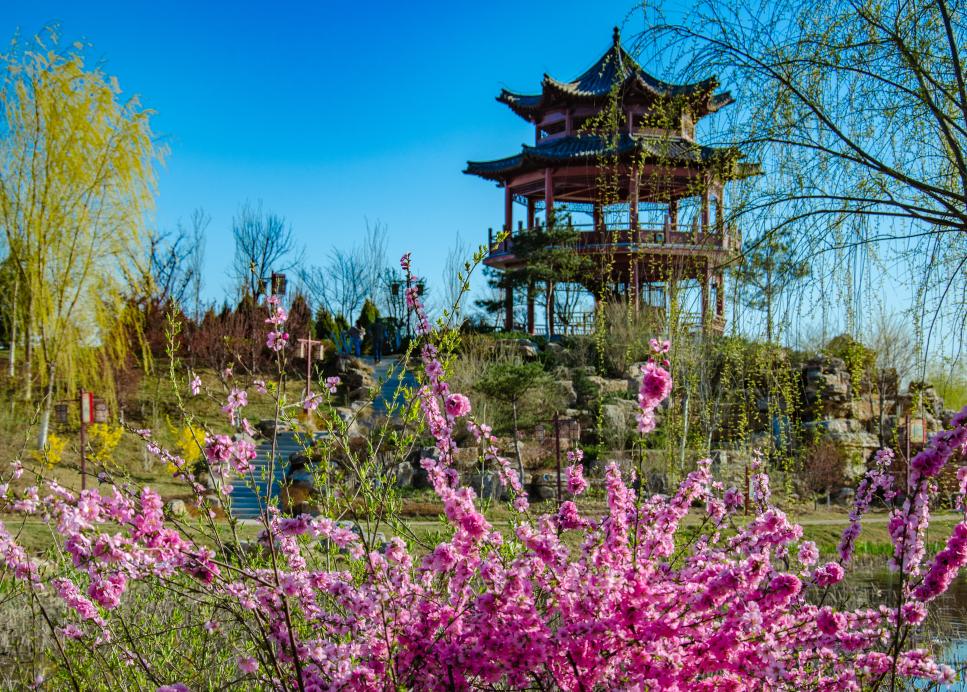 海浪中的梦想独白,秦皇岛的激情时刻