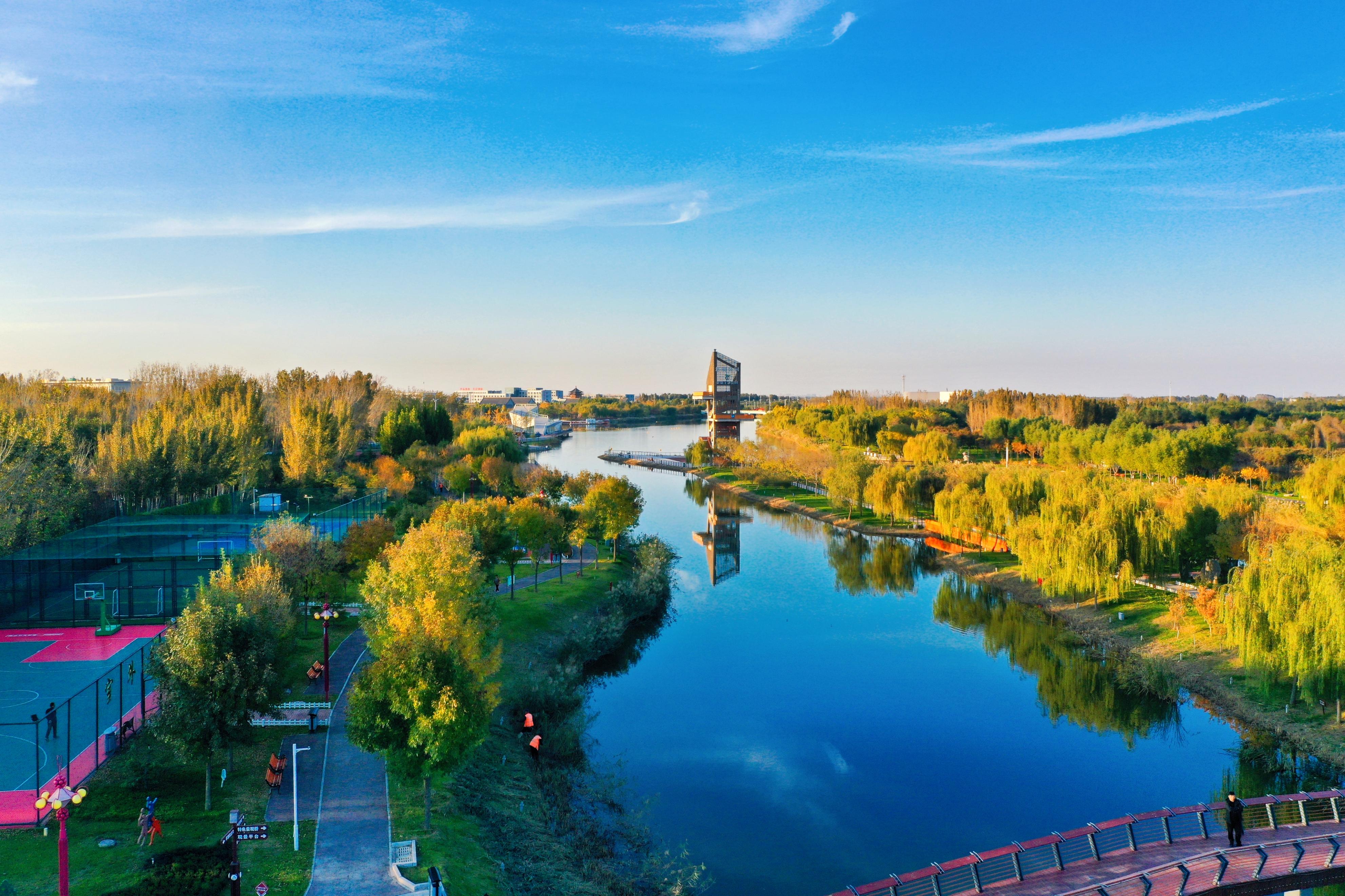衡水夏日盛宴,友谊在衡水之夏绽放