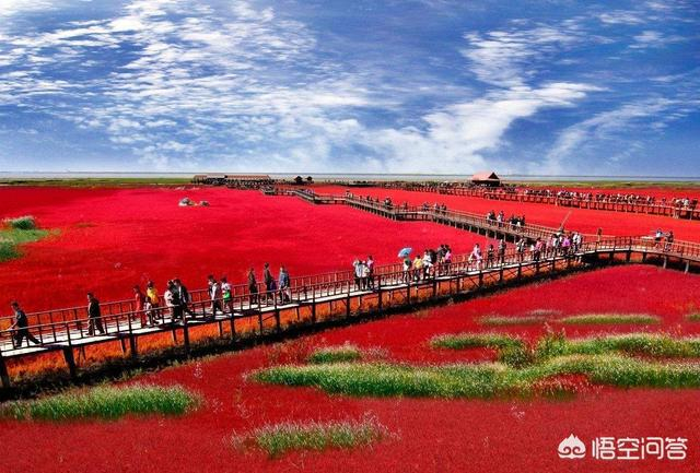 盘锦，湿地之都，自然之韵的魅力之城